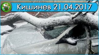 Снежный коллапс 21 апреля 2017 Кишинев - Причуды природы