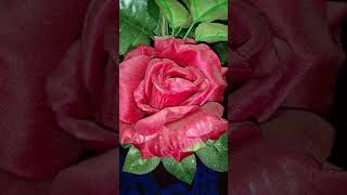 ❤ASMR ❤? "som plastico e chuva" ☔