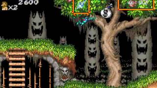 Game Boy Advance Longplay [155] Super Ghouls 'n Ghosts