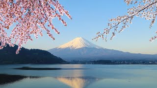 Tokyo Japan - Mt Fuji, Lake Ashi and Bullet Train Day Trip