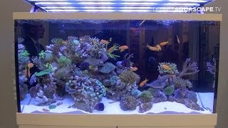 Aquarium ideas from InterZoo 2014 (pt.19) - Red Sea