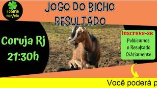 Coruja rio das 21 horas Resultado do jogo dobicho de hoje 09 01 2020 jogo do bicho de quinta feira