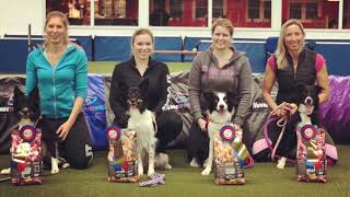 °°Agility German Classics 2018°°- Mona Grefenstein & Qju - Hemsbach