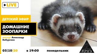 Детский эфир "Домашние зоопарки" в рамках рубрики "Путешествия с натуралистом"