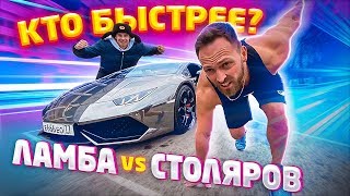 СТОЛЯРОВ vs ЛАМБЫ ГОРДЕЯ на 1000 СИЛ / КТО БЫСТРЕЕ?