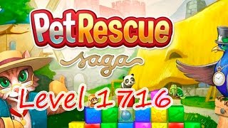 Pet Rescue Saga Level 1716 (NO BOOSTERS)