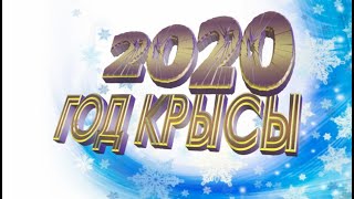 Футаж 2020 год крысы!Footage 2020 happy New Year.Figure 2020.Year of rat