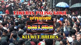 JAGOAN KAMPUNG BERAKSI DI SHOW NEW PALAPA LIVE KLUWUT BREBES
