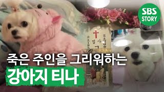TV동물농장-죽은주인 못잊는 티나(504회)_10