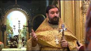 Награда даётся тому, кто не ждёт её !!!  Прот.Андрей Ткачёв (28.01.2017г.)