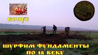 ШУРФИМ ФУНДАМЕНТ дома по 18 веку в поиске монет Петра I. Где клад?