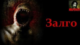 Истории на ночь - Залго (ZALGO)