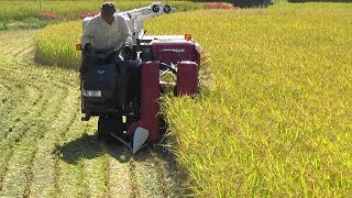 ヤンマーコンバイン・稲刈りYANMAR・YH２１７「Sカーブ手刈もあり搬出まで」名子の田んぼ２０１９