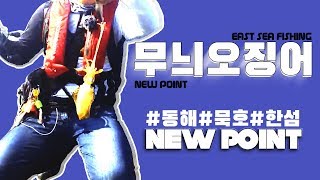 영동지방 감성돔포인트와 무늬오징어 포인트는 겹친다 (묵호방파제  감성돔포인트에서 에깅하기) - sea fishing