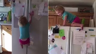 Daredevil 2-Year-Old Scales Refrigerator by Herself