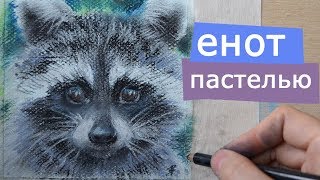 рисую ЕНОТА сухой пастелью [сухая пастель]
