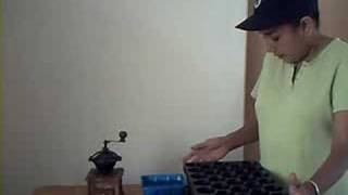 Como crecer, germinar, sembrar semillas en casa. part 1