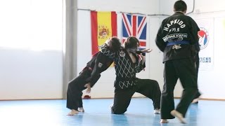 HAPKIDO: Letal y precioso.