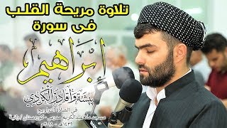 تلاوة مريحة و هادية جدا فى سورة ابراهيم كاملة للقارئ بيشةوا قادر الكردى