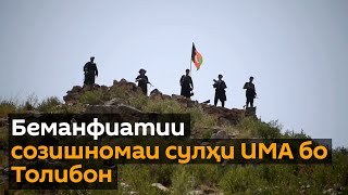 Толибон боз ҳамла мекунанд: силсила ҳамлаҳои террористӣ дар Афғонистон