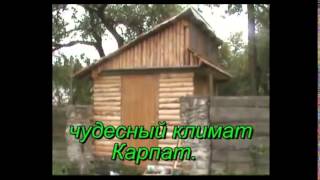 Чертежи апи домиков для пчел