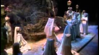 Camelot Filmed Live on Broadway