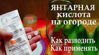 Янтарная кислота на огороде как стимулятор,регулятор роста и антистрессовый препарат