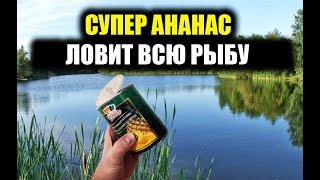 СУПЕР АНАНАСОВЫЙ СИРОП для рыбалки на карпа и сазана а так же другую мирную рыбу, своими руками