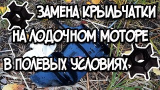 Замена крыльчатки на лодочном моторе. Как провести замену крыльчатки помпы  лодочного мотора