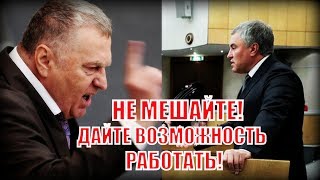 Жириновский разошелся во время выступления так, что Володин призвал его к корректности!