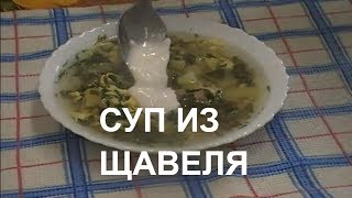 СУП ИЗ ЩАВЕЛЯ. СУП ИЗ ЩАВЕЛЯ С МЯСОМ. ЗЕЛЕНЫЙ БОРЩ ИЗ ЩАВЕЛЯ.