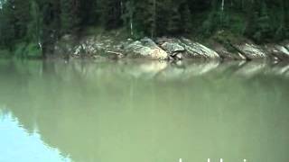 Рыбалка на реке Лебедь в Горном Алтае