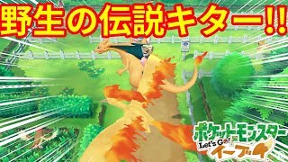 野生の伝説ポケモンきたー！！激レアなのかな！？【ポケモンLet'sGO！イーブイ】