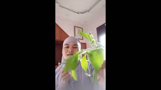 PHƯƠNG PHÁP TRỊ BỆNH VIÊM XOANG (Phần 1)