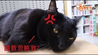 【哈寵PETube】第48集 熊熊到來 - 副社長的一天