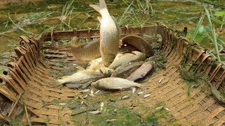 Primitive Skills:Baby Fish ? What I find most interesting???