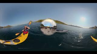 Arctic Sea Kayak Race