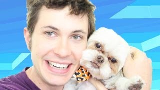 PUPPY TIE