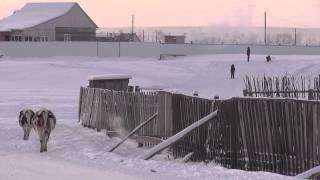 My lovely Village (Republic Sakha (Yakutia)) Outdoor -43C. 我最喜欢的村庄在街上-43霜冻（雅库特）