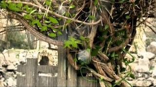 Rustam G`oipov - Tug`ilgan kun (orginal clip)