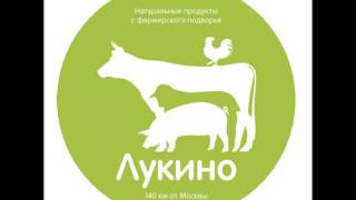 Звенит январская вьюга