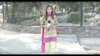 وہ کون سی سبزی ہے جس میں تالا اور چابی دونوں کا نام آتا ہے؟