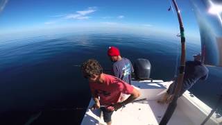 Wahoo, AJ's and Yellowtail-Baja Bay of Dreams "Winter Fishing"