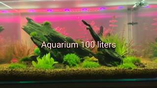 Аквариум 100 литров / Aquarium 100 liters