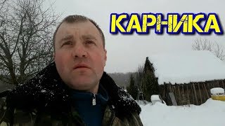 Как зимует Карника? Нужно ли утеплять пчёл?