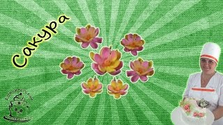 Сакура из мастики