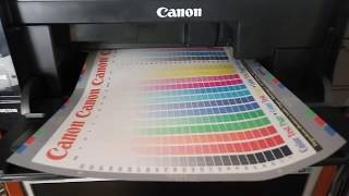 Печатающая головка с AliExpress на принтер Canon MG5140