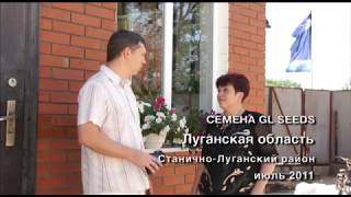 Семена цветов GL SEEDS
