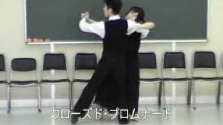 タンゴＤ社交ダンス教室ステップ動画初級者講習用