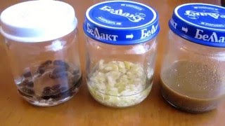 Как сделать приманку для поимки пчелиных роёв.Самодельный «Апирой»